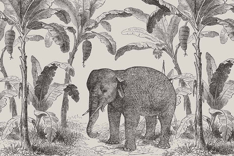 Loxodonta Vintage Explorer Wallpaper Mural