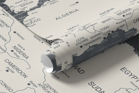 Map and planes