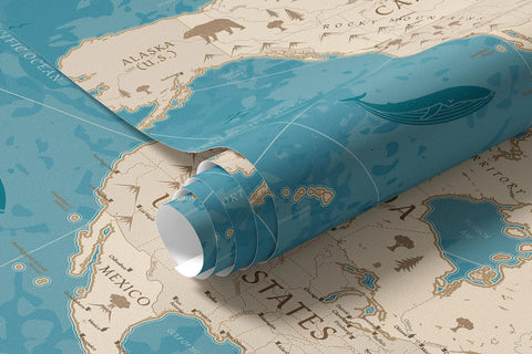 World map, old map